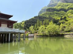 -王莽岭风景区