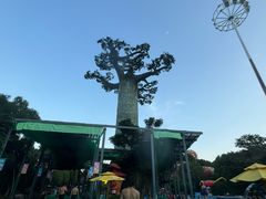 -苏州乐园森林水世界