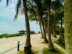 -大梅沙海滨公园