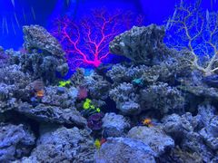 -成都浩海立方海洋公园