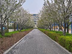 -北京化工大学(东校区)