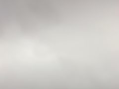 -中化道达尔便利店(周家嘴路店)