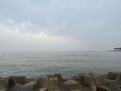 -野狸岛
