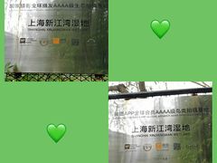 -新江湾城公园