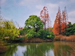 -上海滨江森林公园