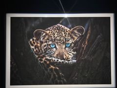 -罗红摄影艺术馆