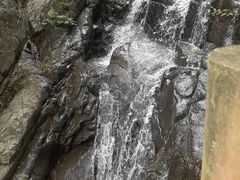 -藏龙百瀑风景区