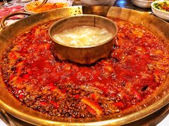 -杨家火锅(国美店)