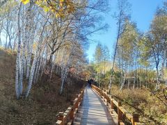 -塞罕坝国家级自然保护区