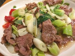 -曾牛肉