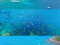 -后海村