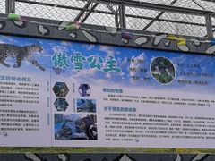 -青藏高原野生动物园
