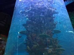 -青岛嘉年华主题乐园