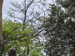 -武当山风景区