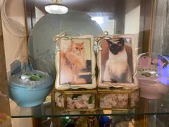 -彩虹桥宠物火化殡葬善终服务(金乐大厦店)