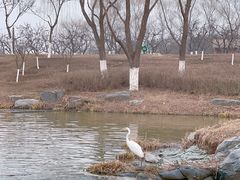 -西安浐灞国家湿地公园