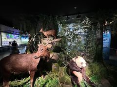 -四川大学博物馆