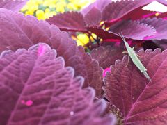 -苏州河梦清园环保主题公园