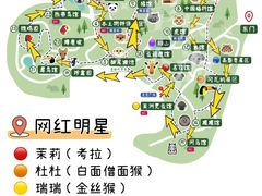 -红山森林动物园