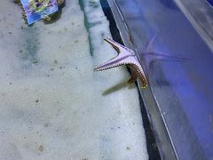 -重庆欢乐海底世界