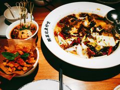 -太二酸菜鱼(汕头苏宁广场店)