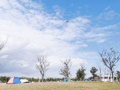 -春花秋色城市公园