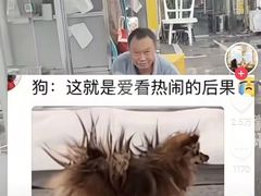 -盒马鲜生(新都心店)