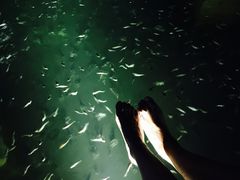 -苏州湾王焰温泉度假酒店