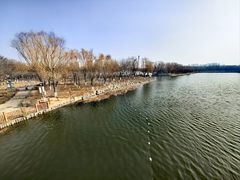 -大兴滨河森林公园