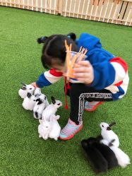 -萌宠亲子动物乐园(槐房万达店)