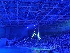 -海合安青岛极地海洋公园