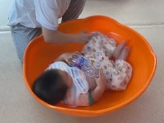 -金禾国际幼儿园