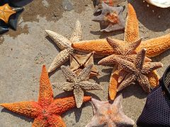 -星海广场