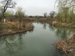 -梁鸿国家湿地公园