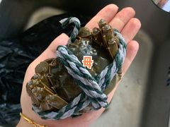 -白沙洲农产品大市场海鲜交易区