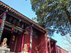 -少华山国家森林公园