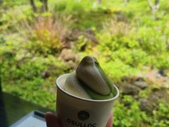 -雪绿茶博物馆