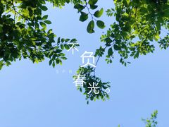 -鹅湖玫瑰文化园