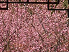 -东林广场(地铁站)