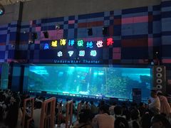 -泉城欧乐堡海洋极地世界