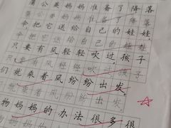 -赵汝飞练字硬笔书法(静安大融城校区)