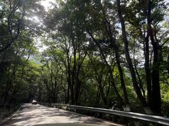 -中国茶叶博物馆(双峰馆区)