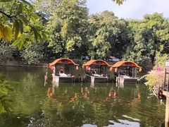 -侨美·唐荔园·40年地道粤菜