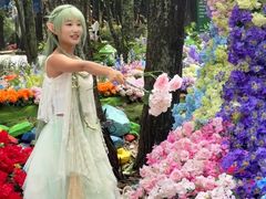 -洛阳白云山景区