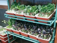 -天和晟烤鸭店(玉泉西街店)