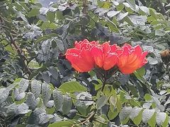 -火炉山森林公园