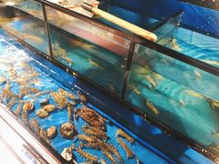 水产区-威海渔村(静安旗舰店)