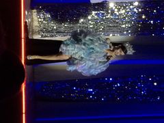-金东尼人妖秀