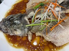 -同发号饭庄(复兴路店)