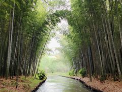 -同里国家湿地公园